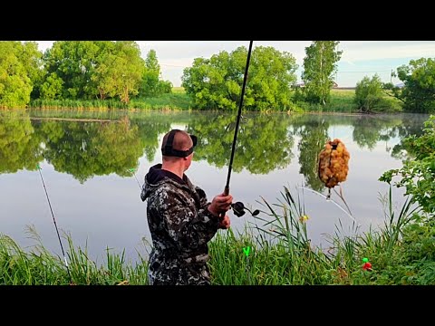 Видео: ПРОСТАЯ И УЛОВИСТАЯ ДОННАЯ СНАСТЬ НА карася и карпа