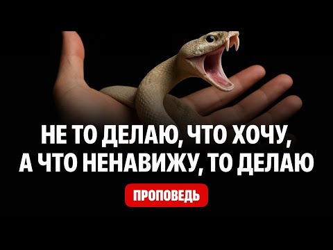 Видео: Почему нам хочется грешить? Вся правда о плоти! Как победить похоть?