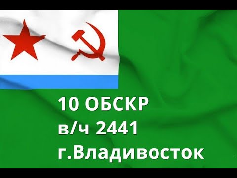 Видео: 10 ОБСКР  В/ч 2441.Владивосток. Корабли и катера