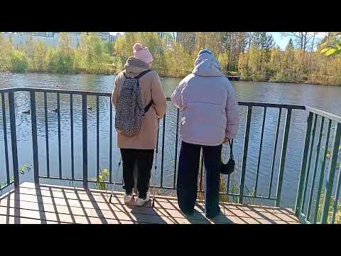 Видео:   Немного устали и решили прогуляться в этот солнечный день #город 