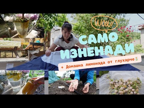 Видео: ДНЕВЕН ВЛОГ | ЛИМОНАДА ОТ ГЛУХАРЧЕ 🤩 СЕЕМ БОБОВИТЕ 🌱 НАЙ-ЯКАТА ВАНА НА СВЕТА! 🦢