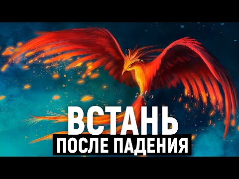 Видео: КАК ВСЕГДА ИДТИ ВПЕРЁД несмотря на неудачи. Наука дисциплины