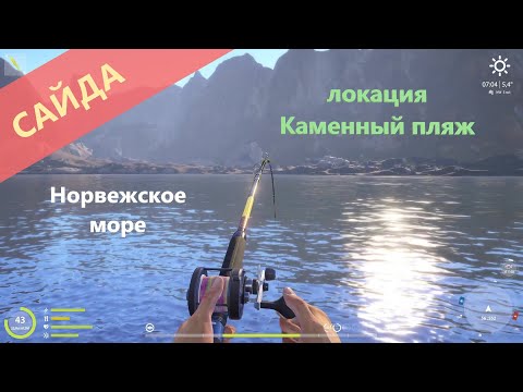 Видео: Русская рыбалка 4 - Норвежское море - Сайда недалеко от берега