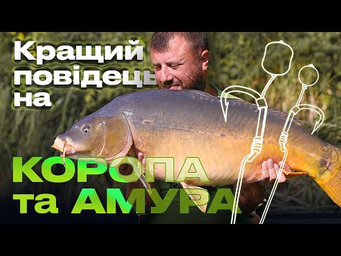 Видео: ⚡️ Як зв'язати універсальний та ефективний повідець на КОРОПА і БІЛОГО АМУРА?