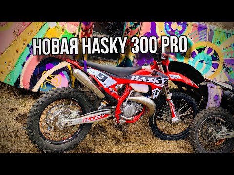 Видео: Обзор Hasky F7 300 pro 2t Обновленная тестовая версия
