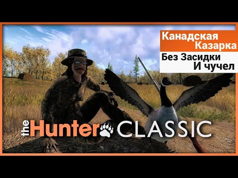 Видео: Как охотиться на Казарку без засидки и чучел в theHunter: Classic
