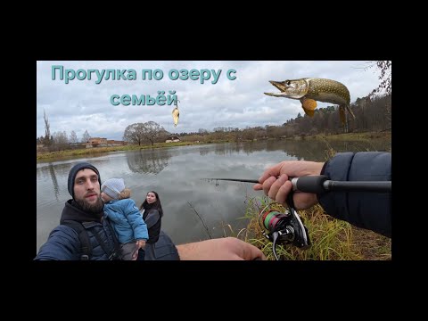 Видео: Рыбалка на щуку! Семейная прогулка на озере.  #рыбалка #спиннинг #щука