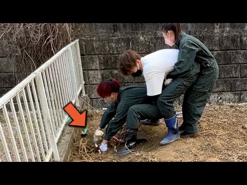 Видео: Создайте тренировочную площадку во дворе дома.