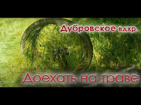 Видео: Северные озера города Минска