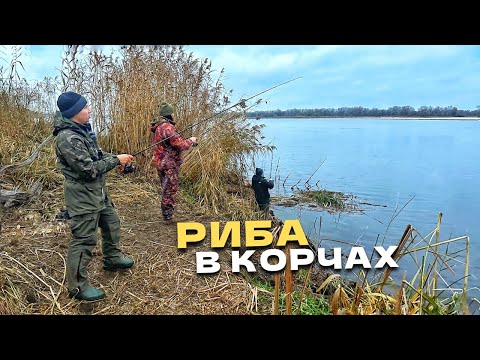 Видео: В цих КОРЧАХ ловили всі! Вечірня РОЗДАЧА!