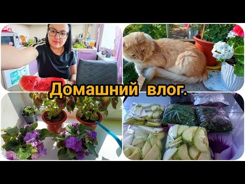 Видео: МОЕМУ КАНАЛУ 5 ЛЕТ 😍🥳 ОДИН ДЕНЬ СО МНОЙ 😊 ЗАГОТОВКА ОВОЩЕЙ НА ЗИМУ 🥒🥦