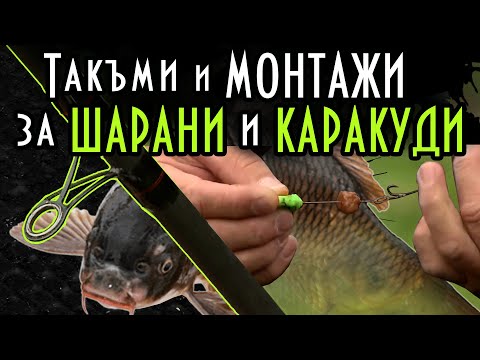 Видео: Такъми и МОНТАЖИ за ШАРАНИ И КАРАКУДИ