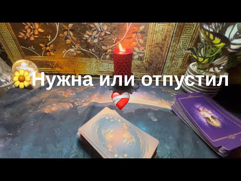 Видео: 9 ноября 2025 г.