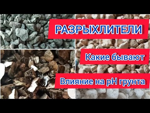 Видео: Самые популярные и доступные разрыхлители грунта. Плюсы и минусы, влияние на pH грунта