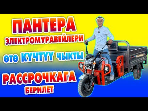 Видео: Рассрочкага ПАНТЕРА электромуравейлерин АЛГЫЛА ~ ѳтѳ КҮЧТҮҮ, анан БЫШЫК чыкты ~ Мотор 1800 ваттык