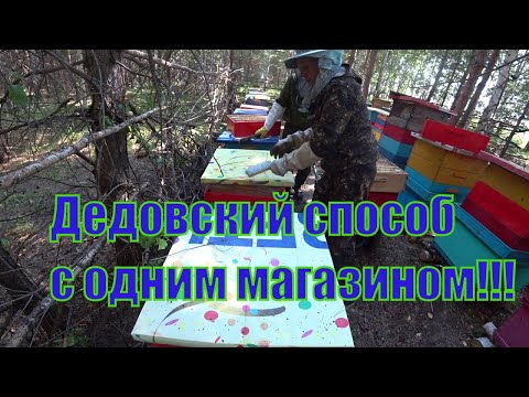 Видео: ДЕДОВСКИЙ СПОСОБ РАБОТЫ С ОДНОЙ МАГАЗИННОЙ НАДСТАВКОЙ, ОТБОР СОТОВЫХ РАМОК