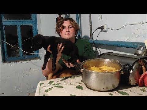 Видео: Готовлю луковый суп из кролика и рассказываю истории о том как забрал щенка со свалки 