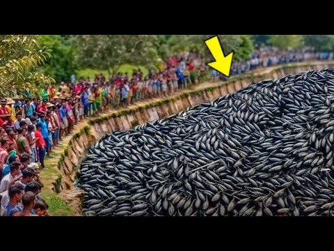 Видео: Такое Редко Увидишь! Случаи Снятые На Камеру