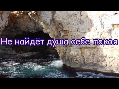 Видео: Не найдёт душа себе покоя  🥺✨🎵очень красивый псалом 🎵🕊️