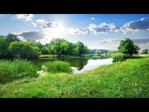 Видео: НИКОГДА не покупайте этот тип земли