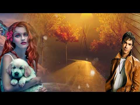 Видео: Согрей меня -авт/исп.Florina FM