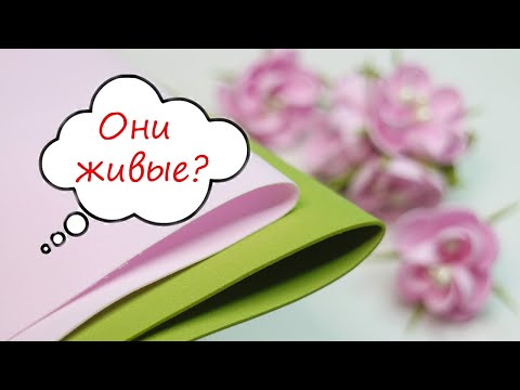 Видео: Вопрос Моей Дочки 🧐 Они Живые 🧐 Когда увидела Эти цветы из фоамирана