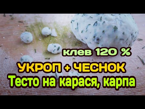 Видео: ТЕСТО ДЛЯ РЫБАЛКИ "ЧЕСНОК + УКРОП" НА КАРАСЯ. ТЕСТО НА КАРАСЯ, КАРПА, ПЛОТВУ ОСЕНЬЮ