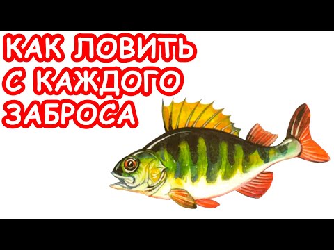 Видео: КАК ЛОВИТЬ НА КАЖДОМ ЗАБРОСЕ. РЫБАЛКА НА МИКРОДЖИГ. ПРИМАНКИ НА ОКУНЯ