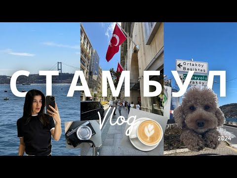 Видео: Vlog Стамбул | целый день вместе | shopping day at Istinye park| Zara Home unboxing|