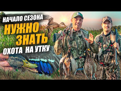 Видео: Тонкости охоты на утку в начале сезона