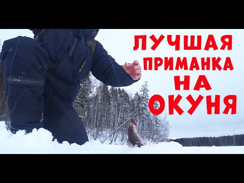 Видео: ЛУЧШАЯ ПРИМАНКА НА ОКУНЯ!!! ВТОРОЙ ГОД ЕЕ НЕ СНИМАЮ!!!