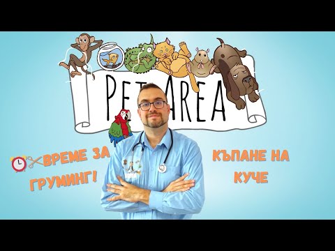 Видео: ⏰✂️ВРЕМЕ ЗА ГРУМИНГ! Къпане на куче