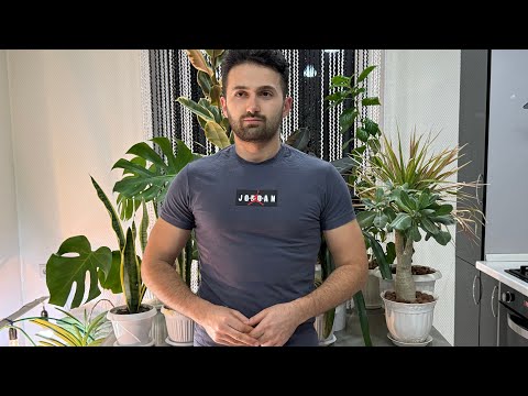 Видео: Самые Неприхотливые комнатные растения: фикус, крассула, Манстера и т.д.￼