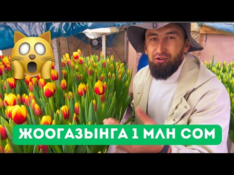 Видео: 🌷 Жоогазын сатылат! 🌷📞 0555303634
