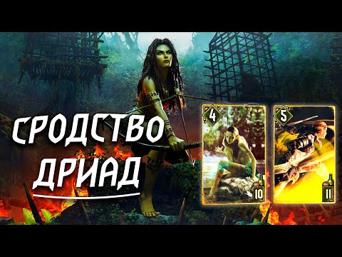 Видео: Гвинт - Колода Скоя'таэлей: Сродство Дриад. Gwent 7.0