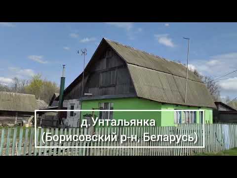 Видео: Унтальянка (Борисовский р-н, Беларусь)