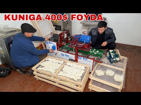 Видео: КУРТ (КУРТОП) ИШЛАБ ЧИКАРИШ БИЗНЕСИ ПОЛАФТАМАТ КУРТ 400$ ДАРОМАД