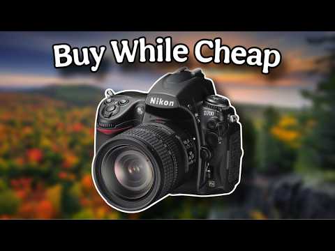 Видео: Эти портретные камеры затмевают все остальные