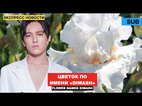 Видео: Димаш - Мнение и Реакция селекционера / Мама Димаша поливает цветы «DAIDIDAU» [SUB]