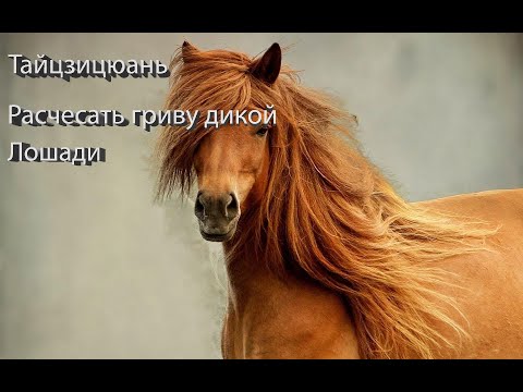 Видео: Ур37 Чэнь Тайцзицюань 48ф Дикая лошадь расчесывает гриву