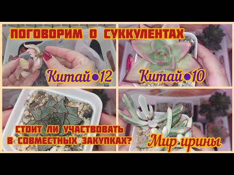 Видео: #мояколлекция Стоит ли участвовать в совместных закупках?|Обзор Китай●10|Распаковка Китай ●12●☆