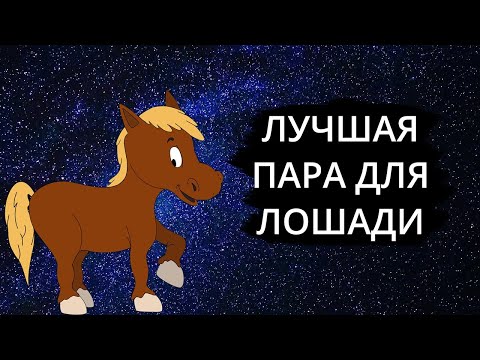 Видео: Совместимость знака ЛОШАДЬ - лучшая и худшая пара