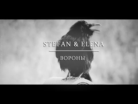 Видео: ► STEFAN & ELENA | Вороны