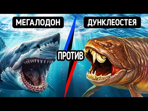 Видео: Морские монстры, заставляющие вас задуматься, чем они питаются