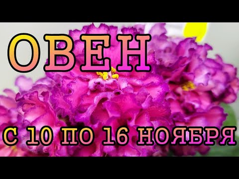 Видео: ОВЕН таро прогноз на неделю с 10 по 16 НОЯБРЯ 2025 года