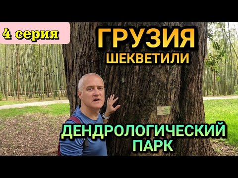 Видео: ГРУЗИЯ, ДЕНДРОЛОГИЧЕСКИЙ ПАРК ШЕКВЕТИЛИ / Аджария / 4 серия