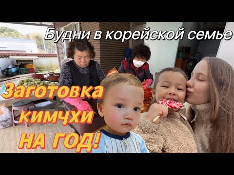 Видео: Помогаю корейским родственникам с заготовками кимчхи на целый год! Зачем мы добавляем сырую рыбу😱?