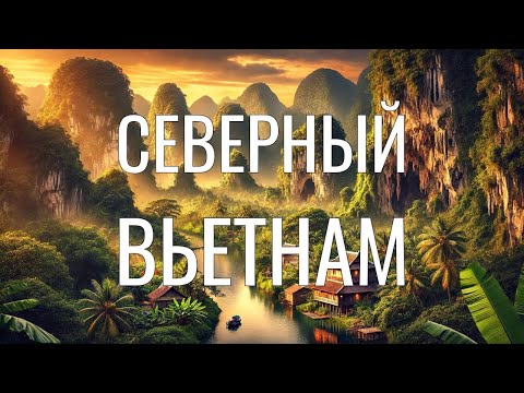 Видео: Исследование Вьетнама: Крысы в продаже, Пьющие вьетнамцы, Гигантские пещеры, Зеленые горы и джунгли