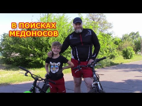 Видео: В ПОИСКАХ АКАЦИИ И ДРУГИХ МЕДОНОСОВ