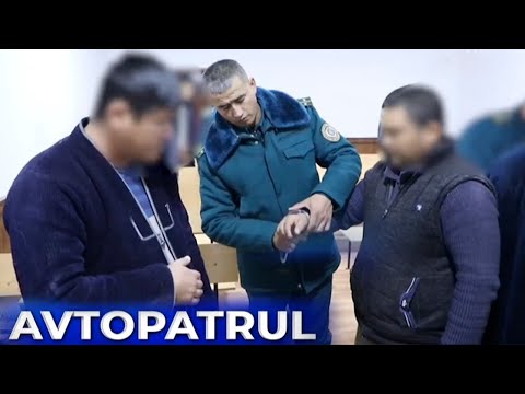 Видео: "Автопатрул"нинг тунги ва кундузги рейд тафсилотлари  | Avtopatrul